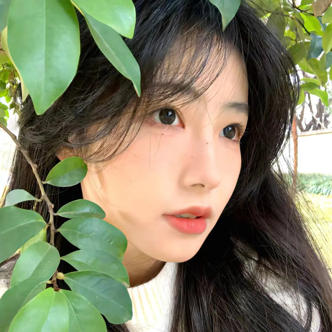 禽兽